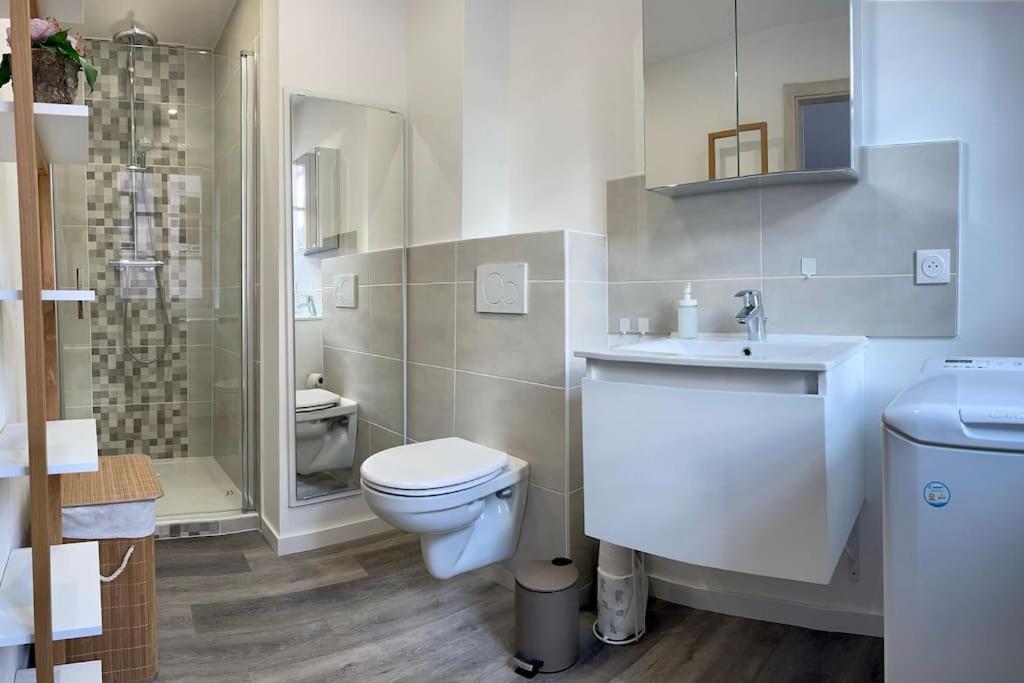 Apartament Le Bottier Alsacien Sélestat Zewnętrze zdjęcie